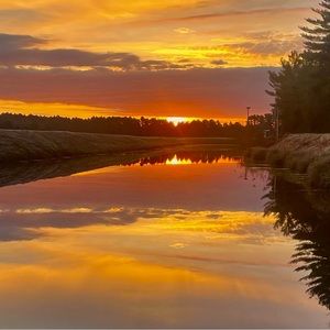 Meet your Posher, Tino